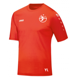 Trikot Team KA