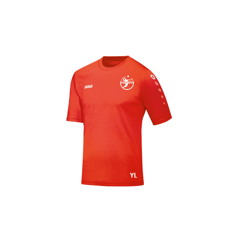 Trikot Team KA Trikot Team KA