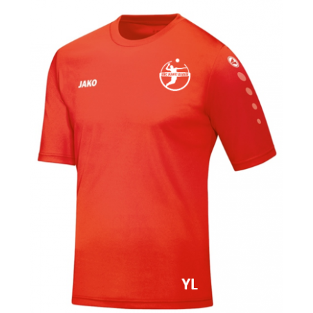 Trikot Team KA